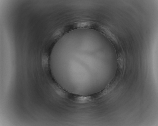 X0000110970375200906261414