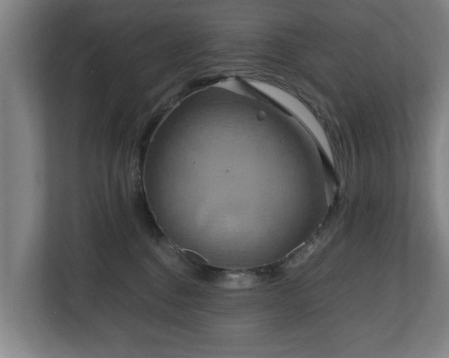 X0000110970376200906261414