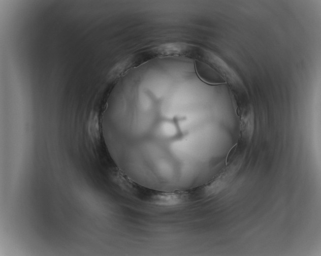 X0000110970381200906261414