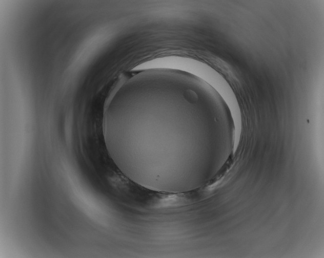 X0000110970382200906261414