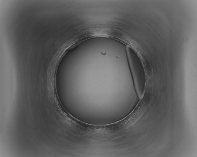 X0000110970385200906261413