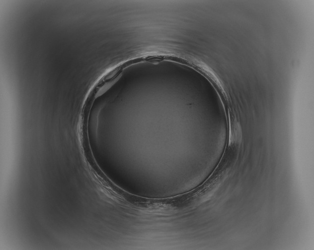 X0000110970387200906261413