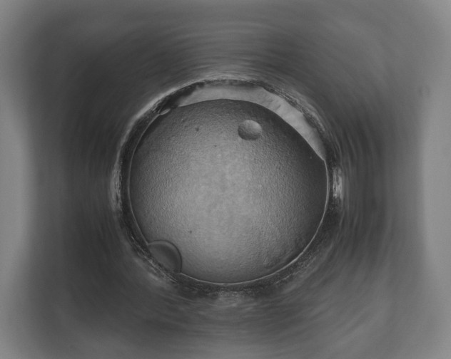 X0000110970388200906261413