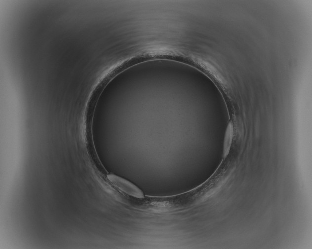 X0000110970391200906261413