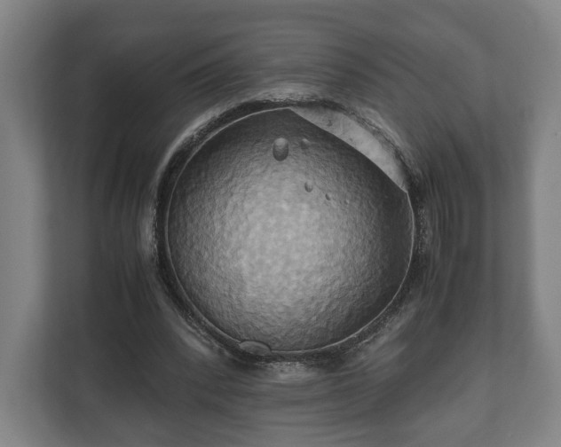 X0000110970392200906261413