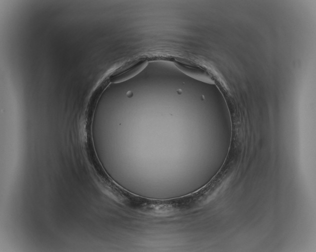 X0000110970395200906261413