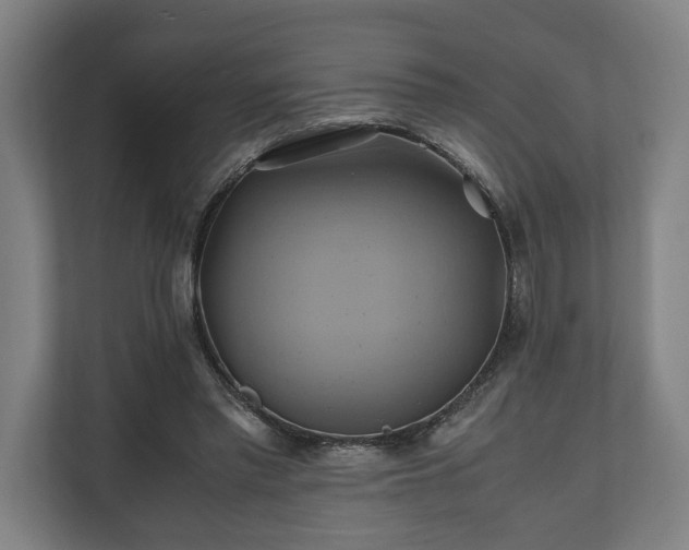 X0000110970397200906261413