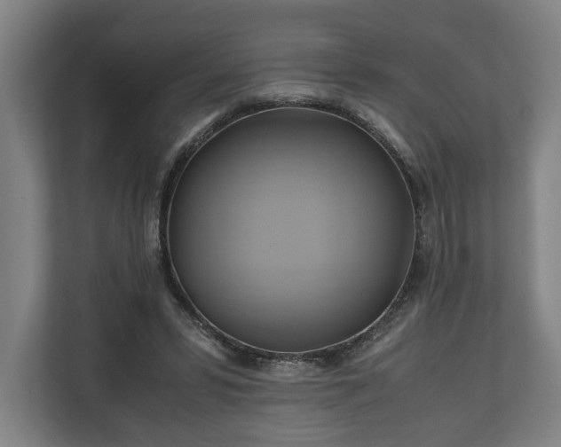 X0000110970399200906261413