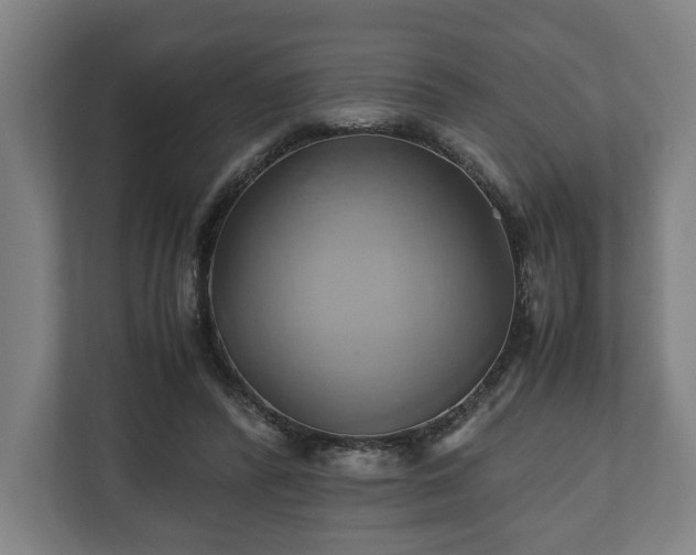 X0000110970400200906261413