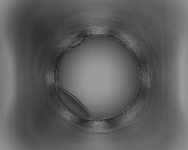 X0000110970401200906261413