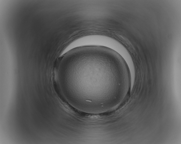 X0000110970409200906261413