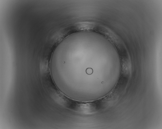 X0000110970411200906261413