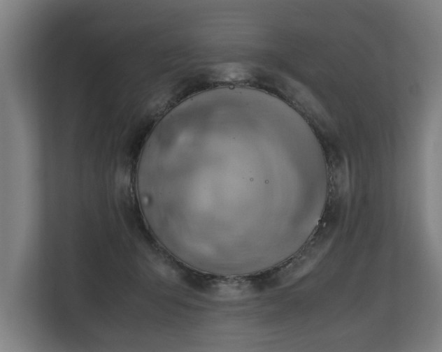 X0000110970415200906261413