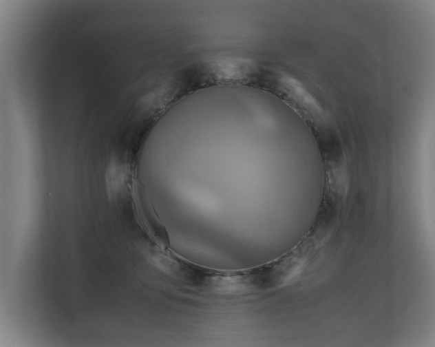 X0000110970419200906261413