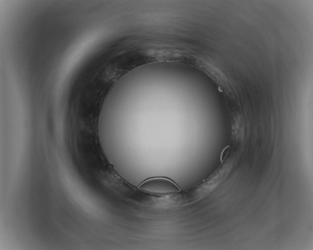 X0000110970430200906261413