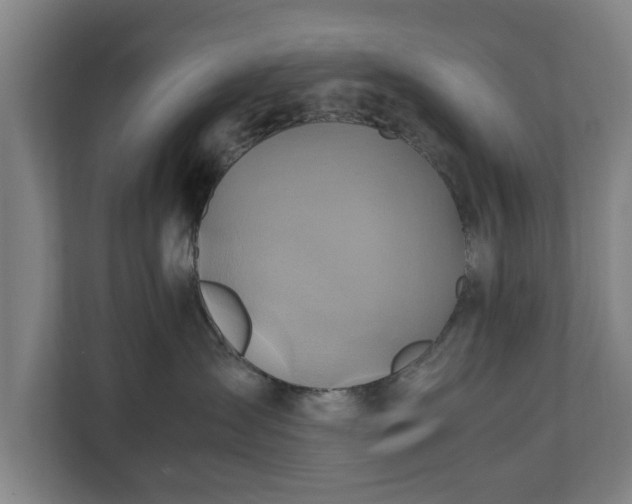 X0000110970431200906261413