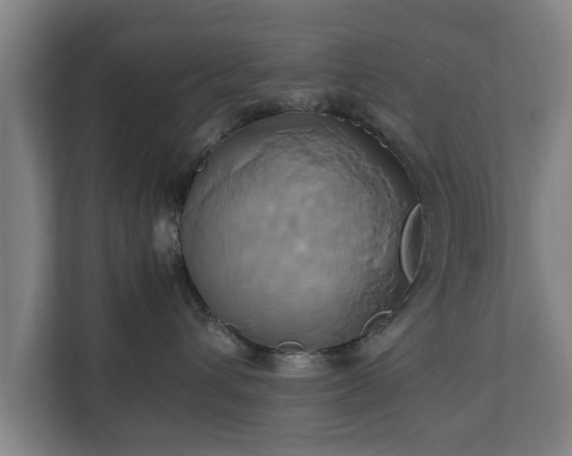 X0000110970432200906261413