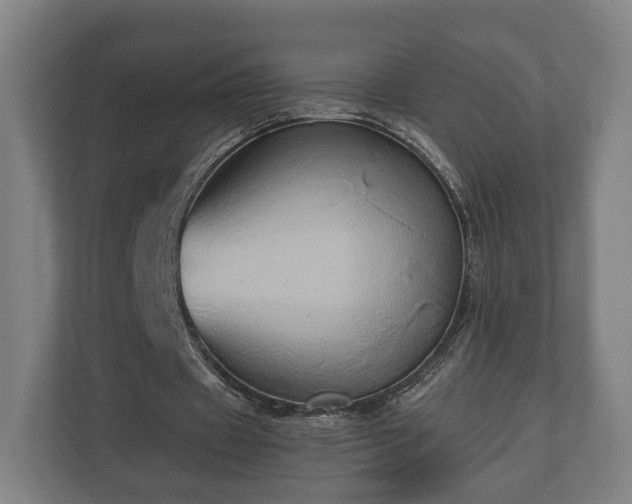 X0000110970433200906261412