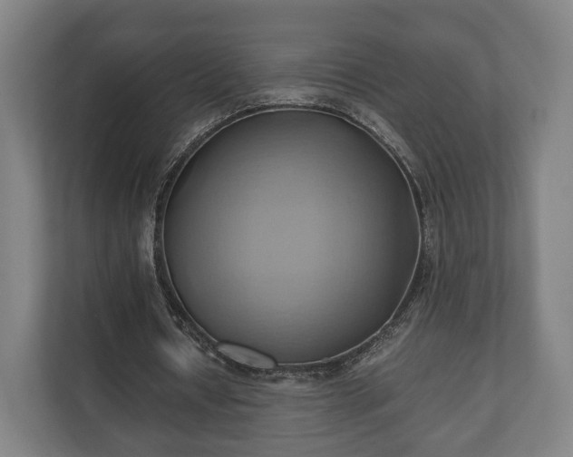 X0000110970434200906261412