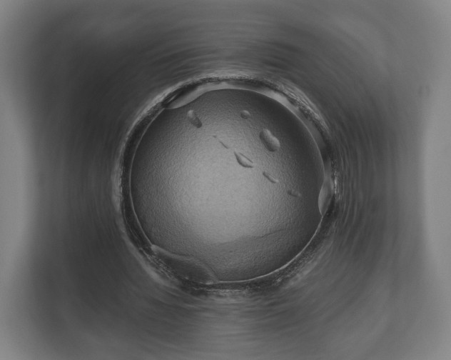 X0000110970436200906261412