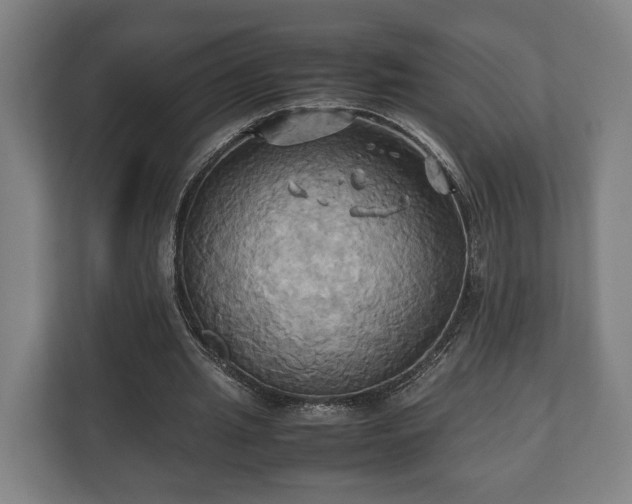 X0000110970437200906261412