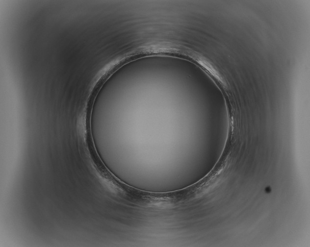 X0000110970438200906261412