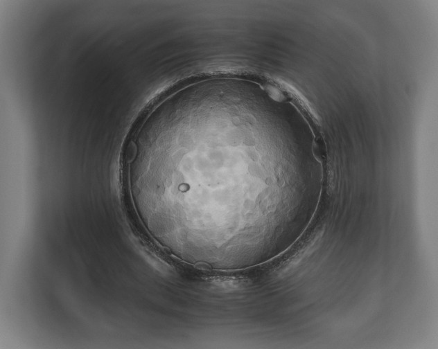 X0000110970439200906261412