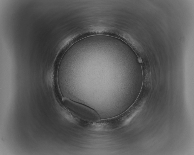 X0000110970440200906261412