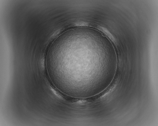 X0000110970441200906261412