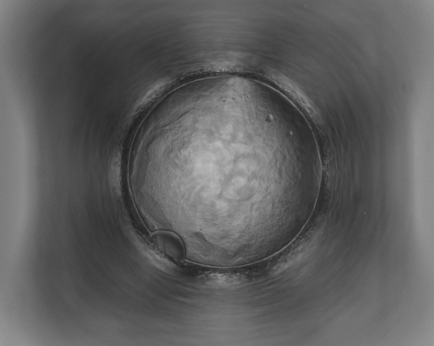 X0000110970442200906261412