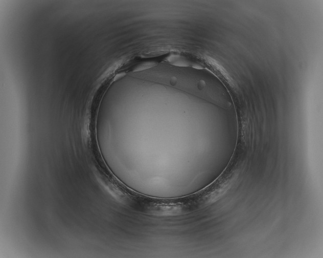 X0000110970443200906261412