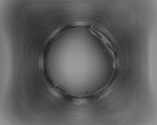 X0000110970444200906261412