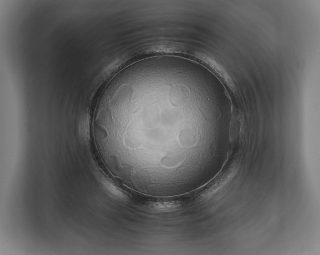 X0000110970445200906261412