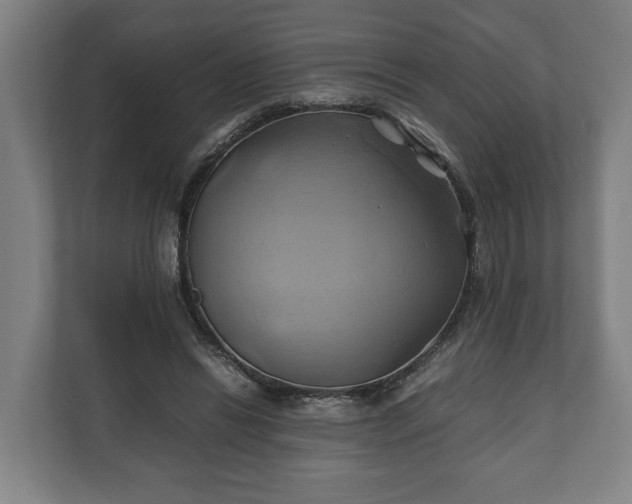 X0000110970446200906261412