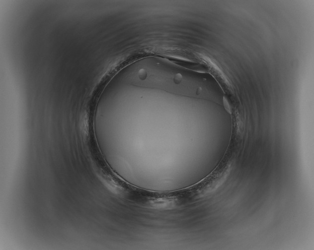 X0000110970447200906261412