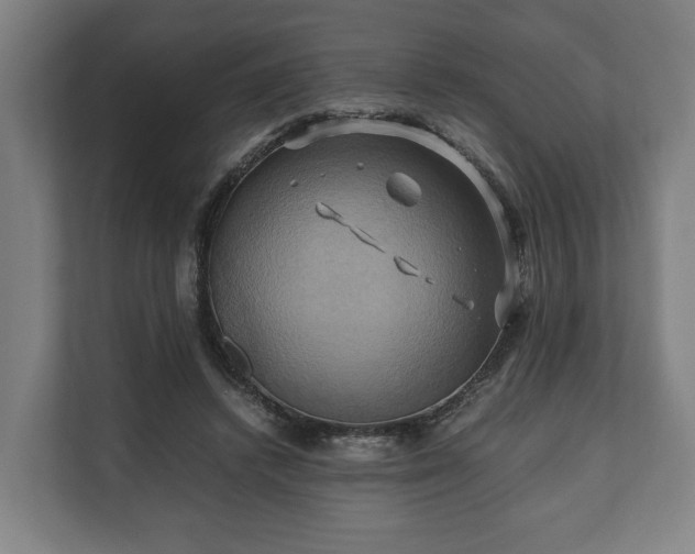 X0000110970448200906261412