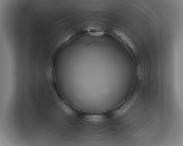 X0000110970449200906261412