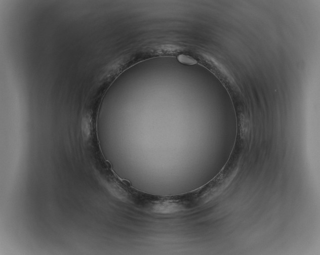 X0000110970451200906261412