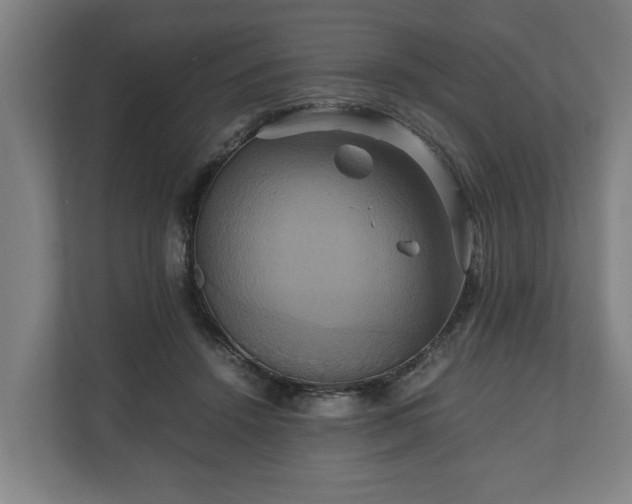 X0000110970456200906261412