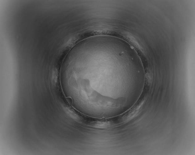 X0000110970458200906261412