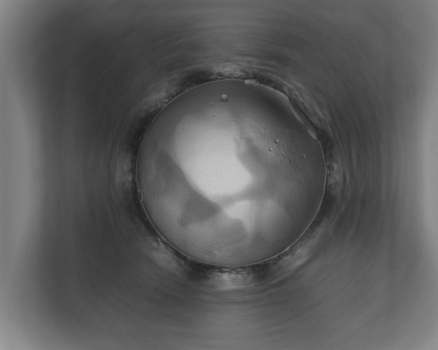 X0000110970466200906261412