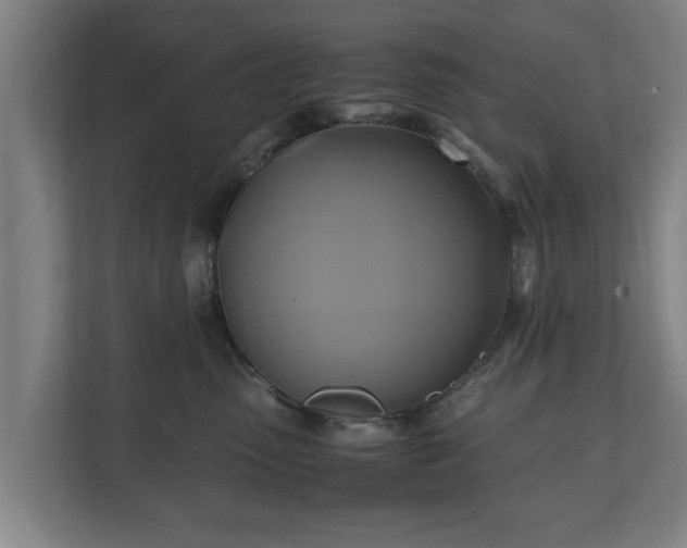 X0000110970475200906261412