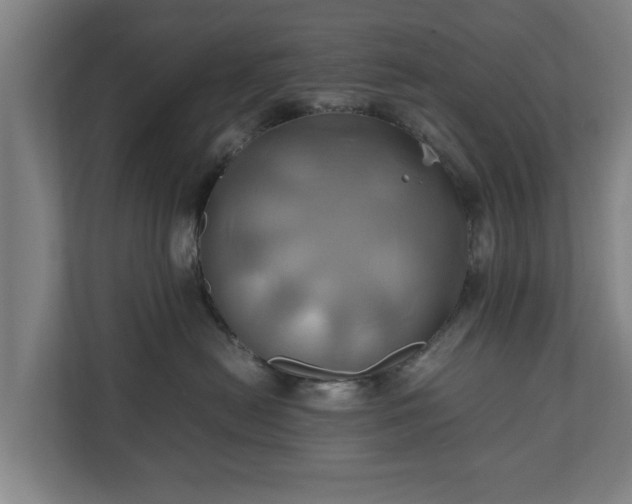 X0000110970478200906261412