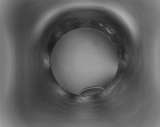 X0000110970479200906261412