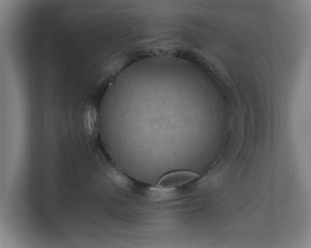 X0000110970480200906261413