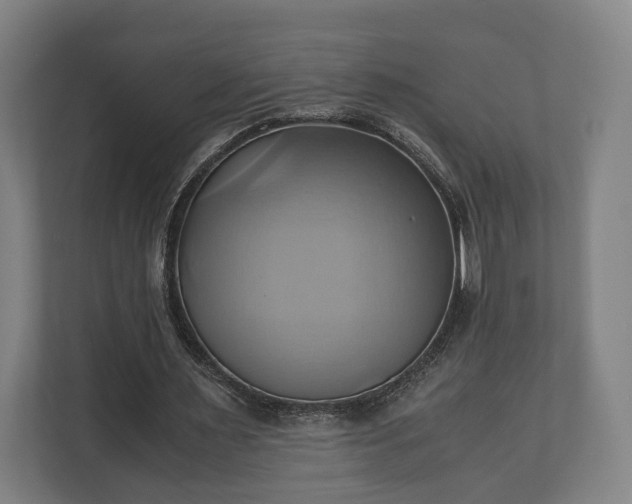 X0000110970483200906261412