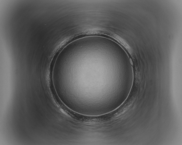 X0000110970485200906261412