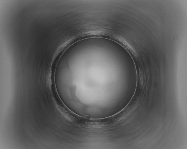 X0000110970486200906261412