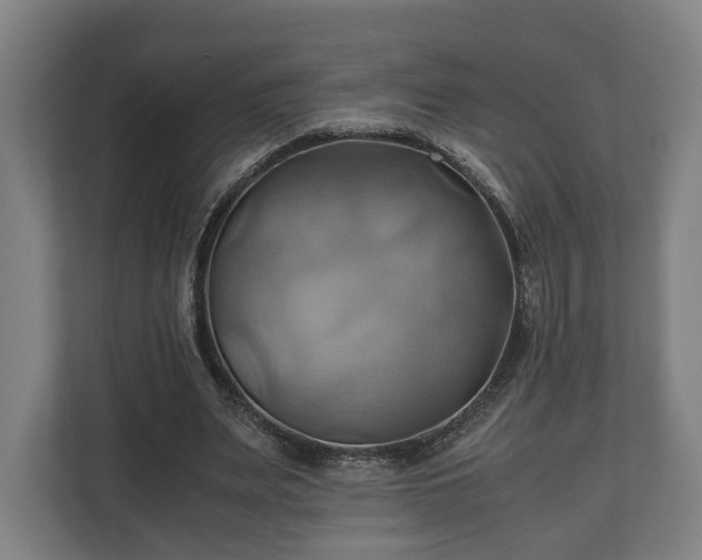 X0000110970487200906261412