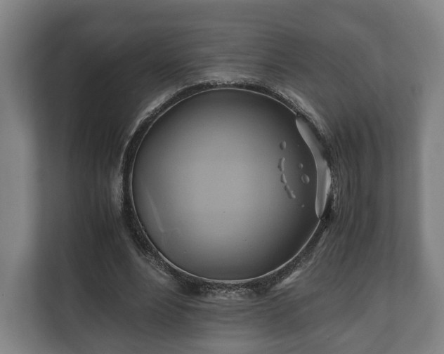 X0000110970488200906261412